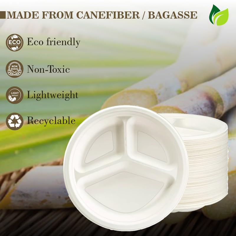 25pc 3-Compartment Bagasse Meal Trays | Eco-Friendly | White