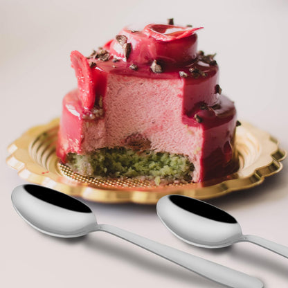 Stainless Steel Dinner Spoon Set of 12 | 16 cm Silver Spoons for Home & Kitchen | Sigma Design