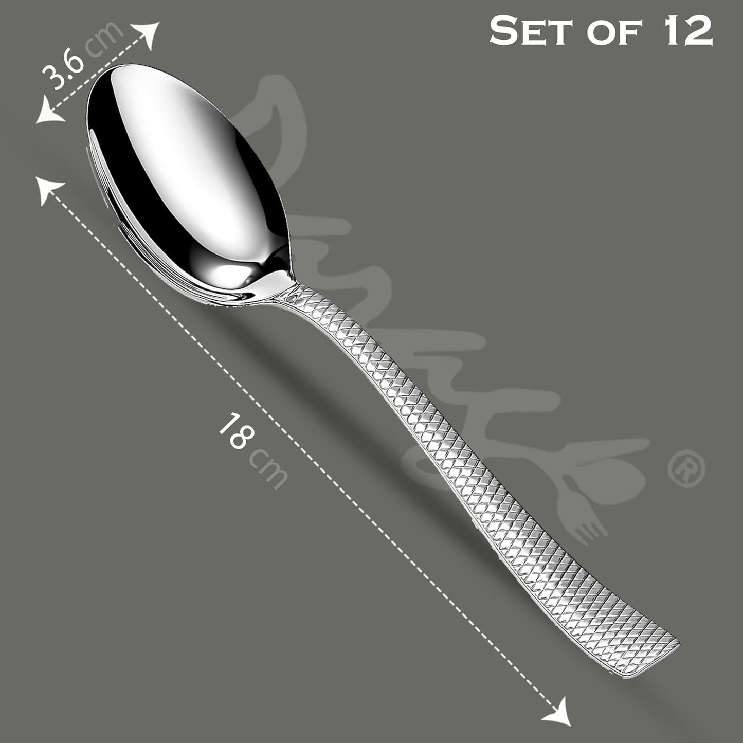 12 Pcs Stainless Steel Dinner Spoon Set with Mirror Finish for Home & Kitchen